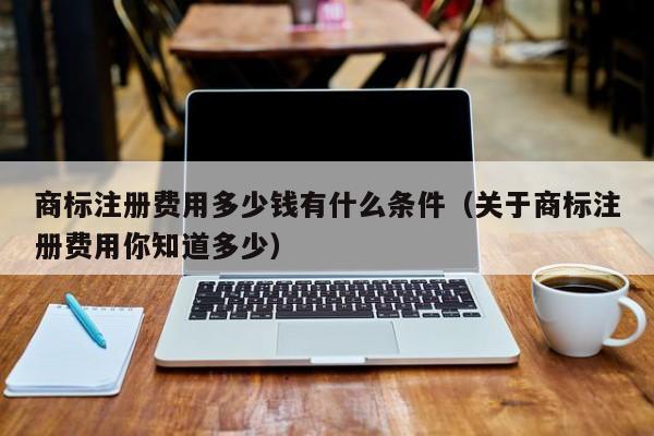 商标注册费用多少钱有什么条件（关于商标注册费用你知道多少）