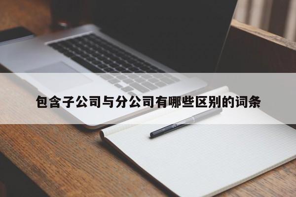 包含子公司与分公司有哪些区别的词条